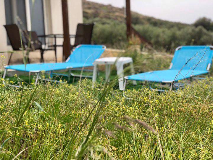 Villa Oniro Kreta Kalamaki  Eksteriør billede